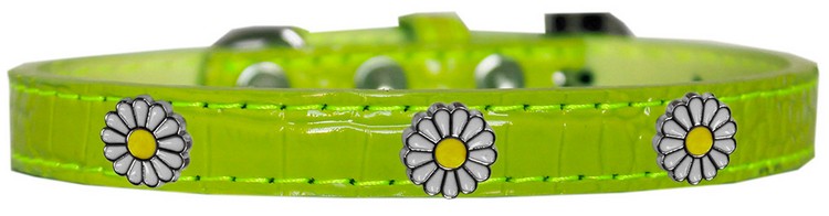 White Daisy Widget Croc Dog Collar Lime Green Size 14